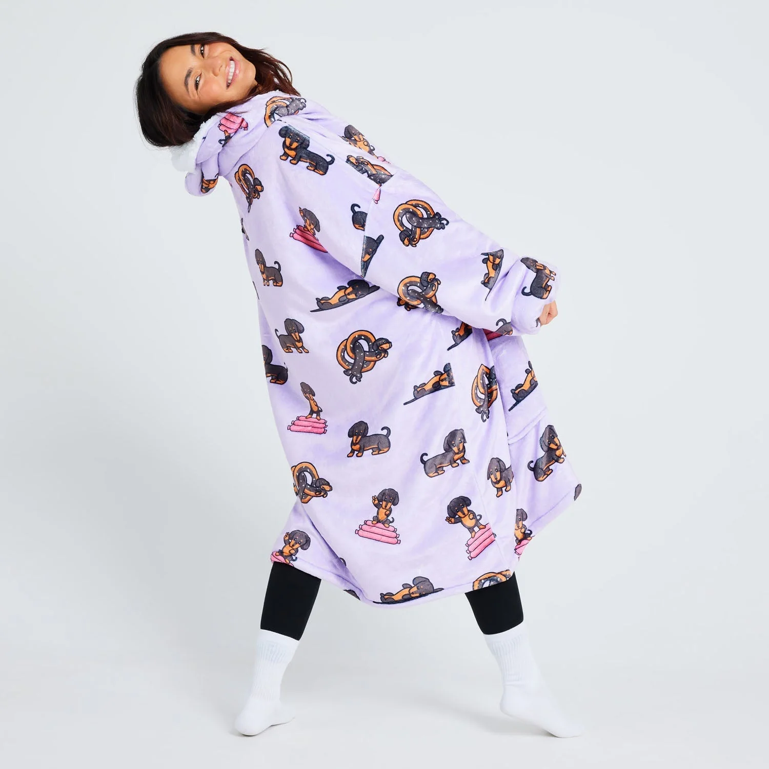 Dachshund - Image 8