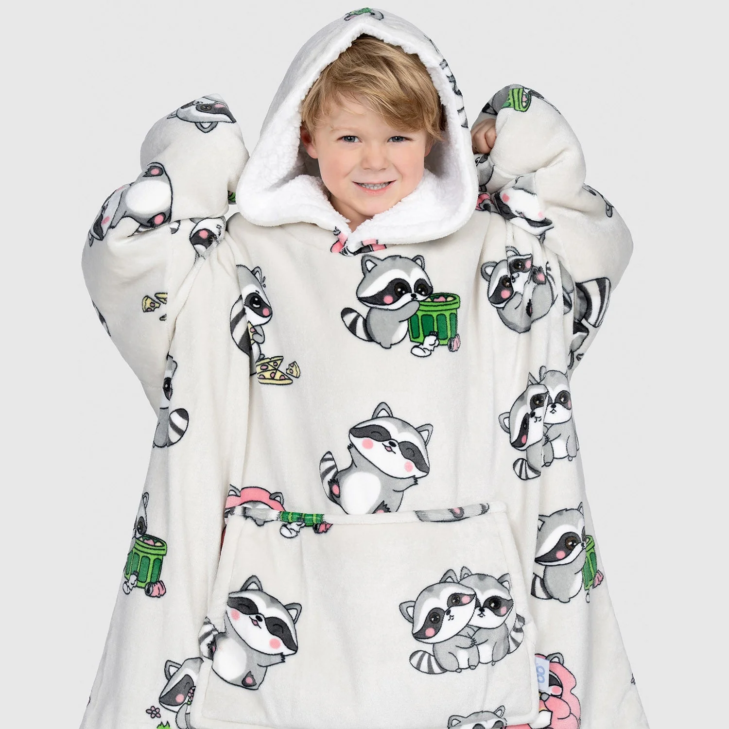 Raccoon - Image 4