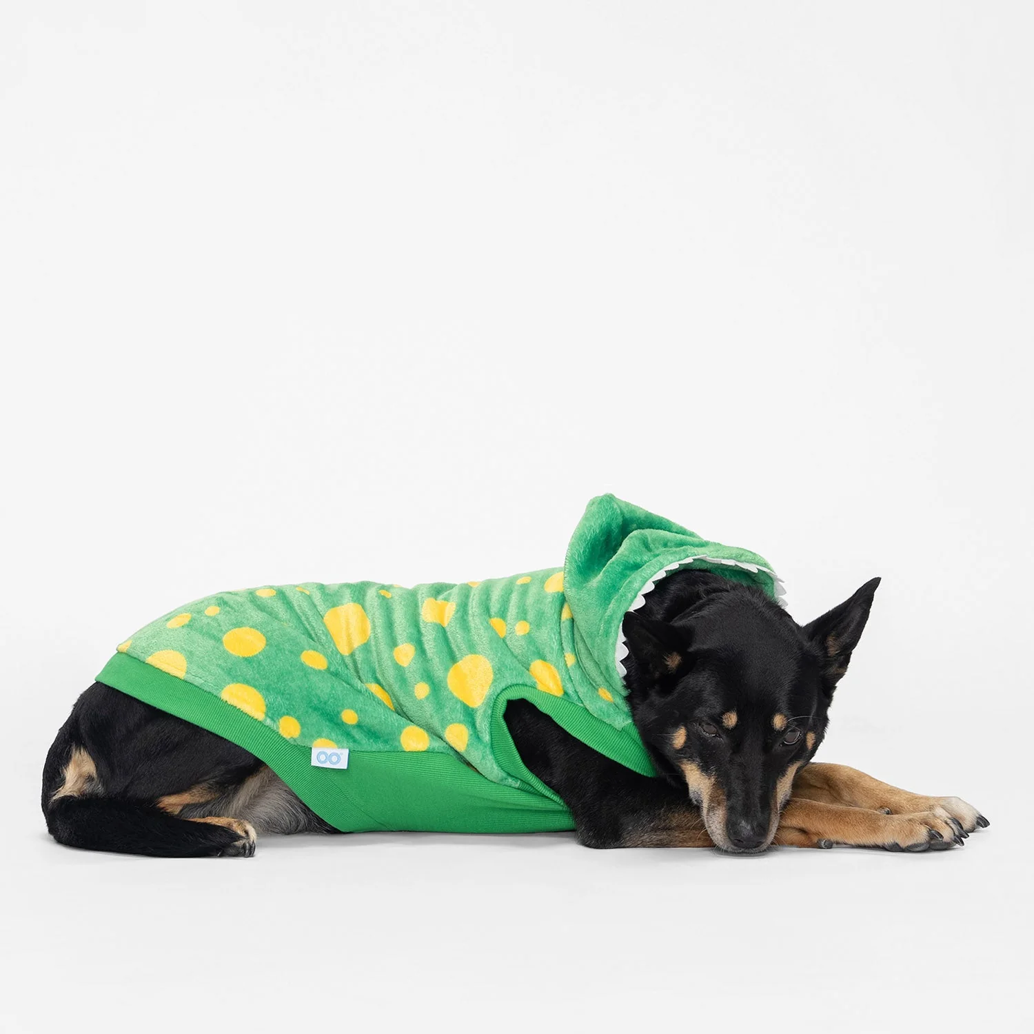 Wiggles - Image 5